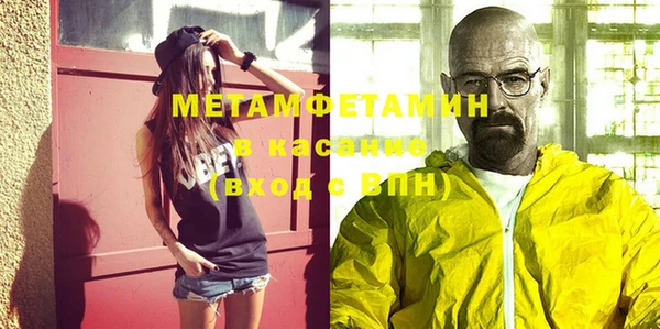 прущие грибы Богданович